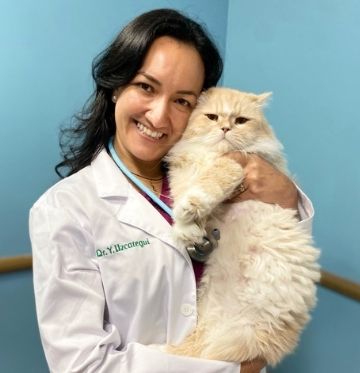 Dr. Yuberline Uzcategui