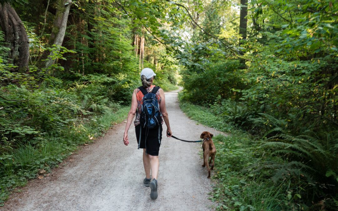 Ensuring Your Dog’s Safety During Their Walks: Simple Tips to Follow